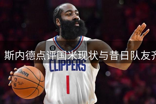 斯内德点评国米现状与昔日队友齐沃